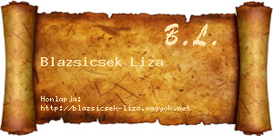 Blazsicsek Liza névjegykártya